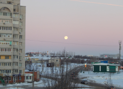 От гула и самолетных следов в небе насторожились камышане