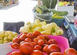 Условная кастрюля борща для камышан подешевела