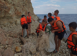 В Камышинском районе эковолонтеры зачистили берег Волги за "беспомощными" рыбаками и туристами