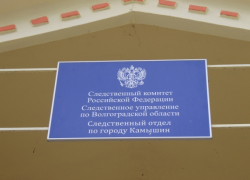 В Камышине устанавливают личность обглоданной собаками женщины