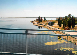 В Камышине ржавым цветом полугнилых водорослей зацвела река