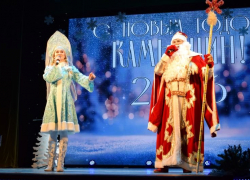 В администрации Камышина рассказали, где камышанам можно погулять в Новый год, в том числе бесплатно