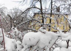 Где в Камышине будут отключать свет, холодную и горячую воду завтра, 15 января