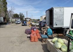 Статистики нашли много подешевевших продуктов по итогам сентября