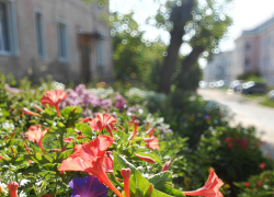 В Камышине энергетики сообщили, где будут работать на высоковольтной линии и отключат свет 29 июля