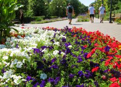 Новую порцию приятной жары дарит природа камышанам: погода 20 августа