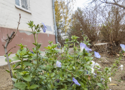 Свет, а также холодную и горячую воду будут отключать в Камышине сегодня, 4 декабря