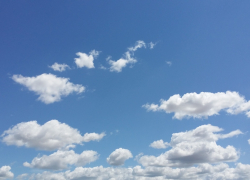 В селе Водно-Буерачном Камышинского района односельчане каждый день приходят на могилу школьника, которого нашли мертвым в хозпостройке