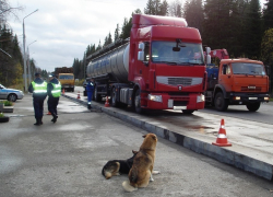 Теперь фуры на маршруте «Камышин-Москва» взвесят в Ольховке