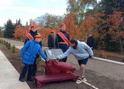 Аллея из 32-х вечнозеленых деревьев появилась в Камышине у школы №7: столько лет было ее выпускнику, герою СВО Николаю Спирину