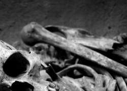 В городе Петров Вал Камышинского района в подвали нашли останки трупа-мумии