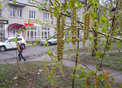 Гроза и сильный ветер 1 мая обрушатся на Волгоградскую область