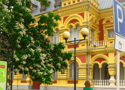 Камышинский историко-краеведческий музей хотят подтянуть до современного