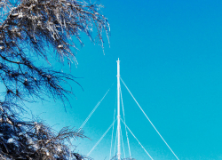 Когда потеплеет в Камышине после 20-градусных морозов?