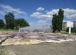 Что за "бивуак" разместился на пустыре возле Камышинки? - камышанка