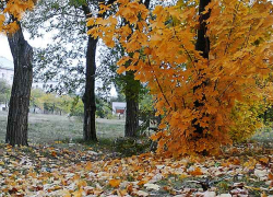В разных частях Камышина отключат свет завтра, 1 октября