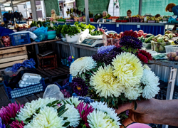 В Камышине вдвое подорожали букеты перед 1 сентября