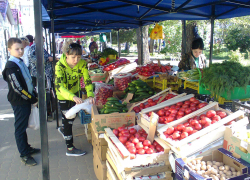 ТОП подорожавших товаров в Камышине составили гречка, помидоры, сайра, майки и колготки
