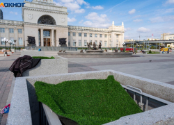 Куда "переехали" экзотические пальмы от железнодорожного вокзала в Волгограде