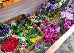 Свежий прогноз на первый праздник весны:  8 Марта Камышин заметет снегом, и ударит мороз в -15!