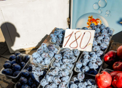 На камышинских рынках обычная слива стала стоить, как дорогой десерт