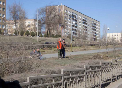 В Камышине начали убирать прошлогодние листья и ветки