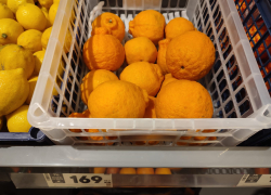 Китайские "носатые" апельсины понравились камышанам