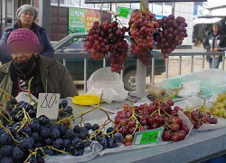 На камышинских рынках можно недорого купить лучшие местные сорта винограда