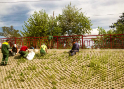 В Камышине рабочие "Благоустройства" занялись покраской, побелкой и выщипыванием травы
