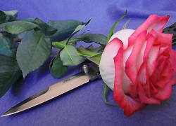 Преследовал три года и поджидал с ножом: страсть к «бывшей» довела влюбленного до преступления, - "Блокнот Волгограда"