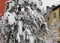 Камышин накрывает снеговая туча и геомагнитный шторм: погода на 11 января