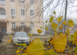 В первый день зимы температура воздуха в Камышине упала до 1 градуса мороза