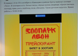 Камышанам привезли верблюда, леопарда, черную пантеру и рысь, но...
