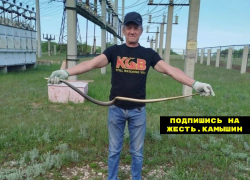 В Камышине змеи участвуют в "фотосессиях"!
