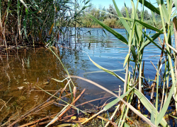 Со дна реки подняли автомобиль с трупом его владельца  на переднем сиденье