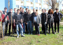 В Камышине об участии в субботнике в открытом доступе "отчитались" только студенты КТИ