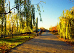 С порога администрации Камышина на меня обрушились с недовольством вахтеры, что я нарушаю их покой в локдаун, - камышанка 