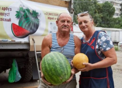 В Камышине на Арбузном фестивале хотят организовать экскурсии туристов к медоварам и бахчеводам