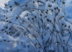 Инна Друзина, глава города Петров Вал Камышинского района, где в гололед упал и умер школьник,  отказалась комментировать, чем власти помогут несчастной семье