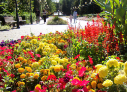 Летние температуры фиксируют синоптики в Камышине 15 сентября