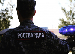 Росгвардейцы задержали в Камышине пенсионерку, похитившую мобильник у 18-летней девушки и объявленную в региональный розыск