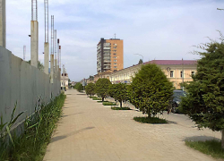 Кто и почему придумал озеленять наш "раскаленный" город туями без крон? - камышанка