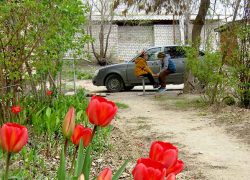 В Камышин пришел вторник с дождем