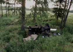 Водитель "Дэу" слетел с дороги, врезался в березу и погиб на месте