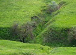 Двухлетний малыш непостижимым образом ушел спать в овраг за 8 километров от дома!