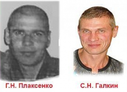 Координатор Волгоградского "ВолгоСпаса" в Камышине предлагает добровольцам принять участие в поиске пропавших камышан