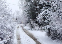 Трехдневное продолжение "завирухи" ждет Волгоградскую область