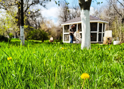 Почему в Камышине белок в парке не отпускают на свободу, а держат взаперти? - камышанкка