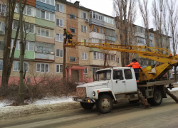 Почему в Камышине пилят деревья уже и зимой? - камышанка