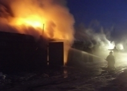 В Камышине случился пожар на "Лесной поляне"